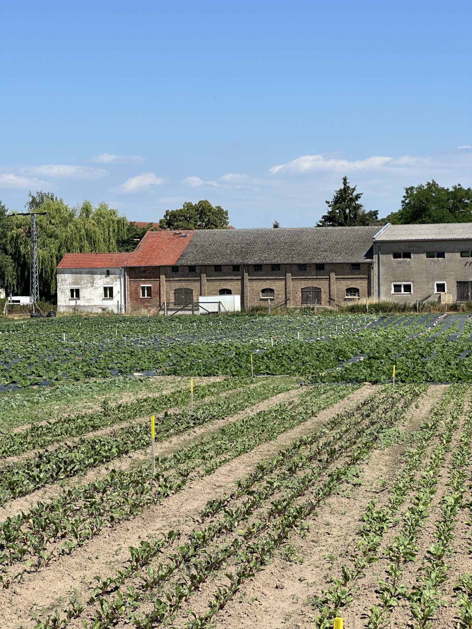 Rixmanns Hof