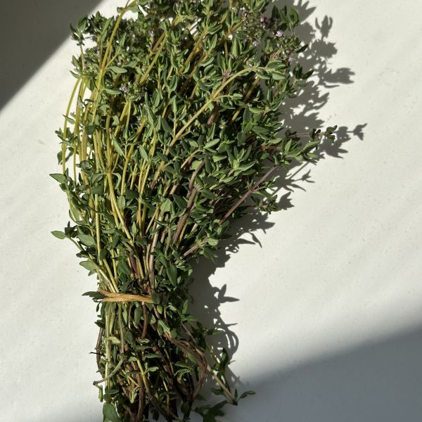 Thymian