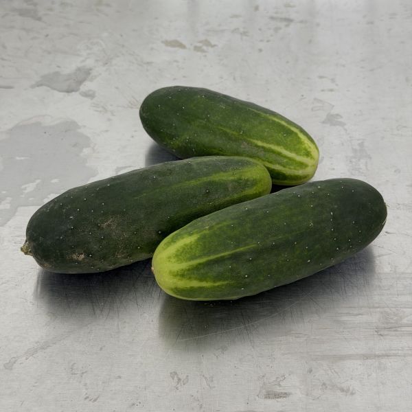 Landgurke