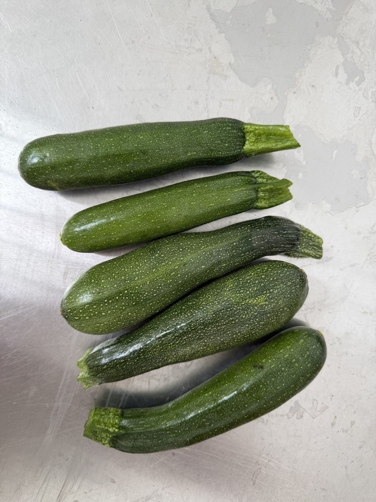 Kleine Zucchini