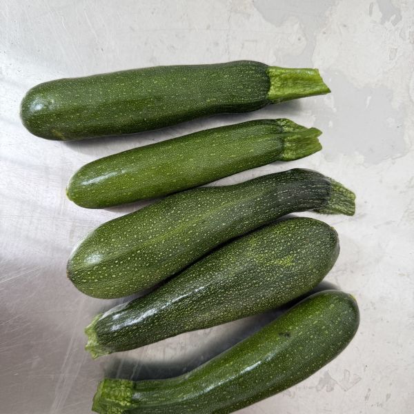Kleine Zucchini