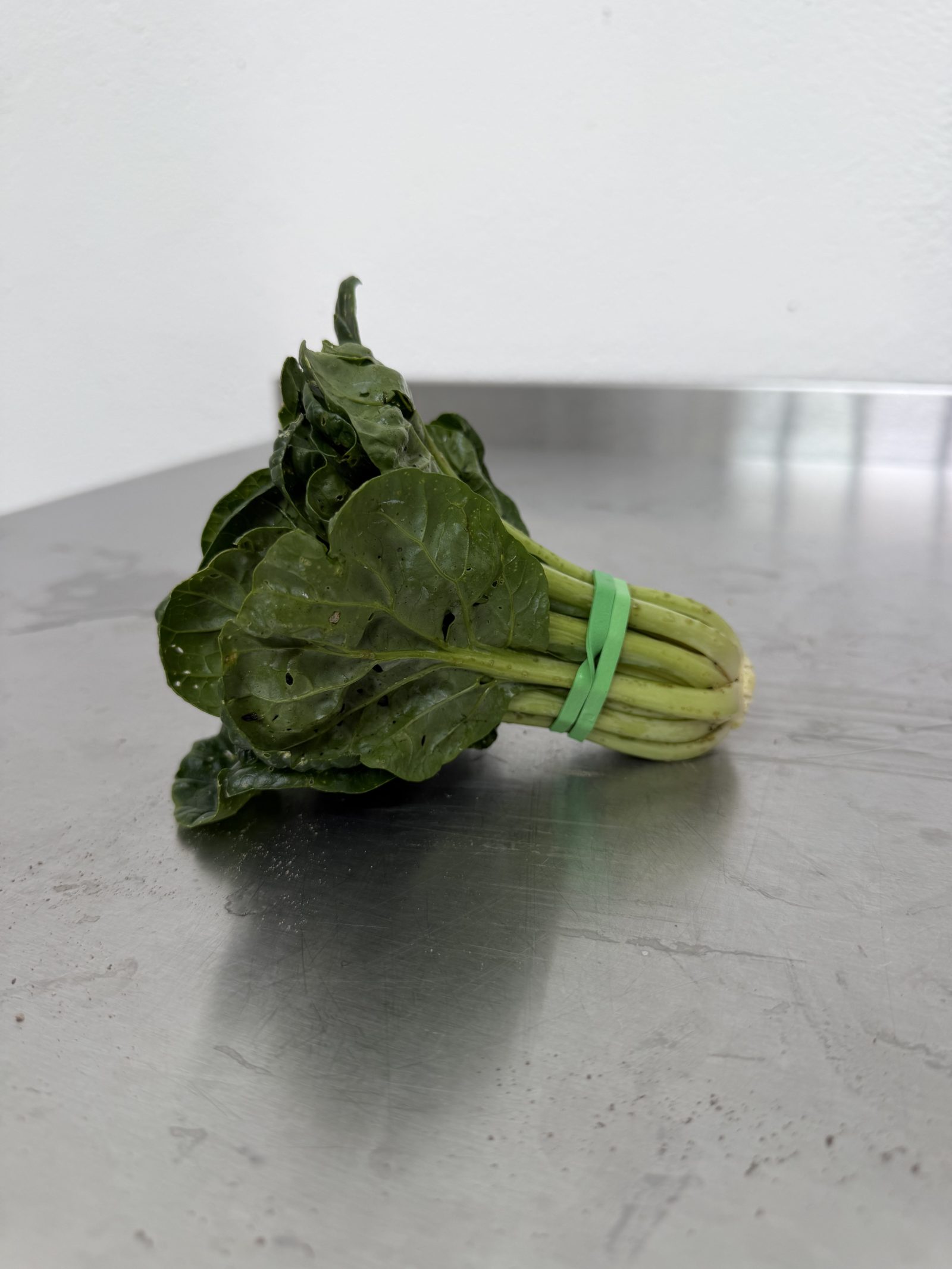 Rosetten-Pak-Choi / Tatsoi