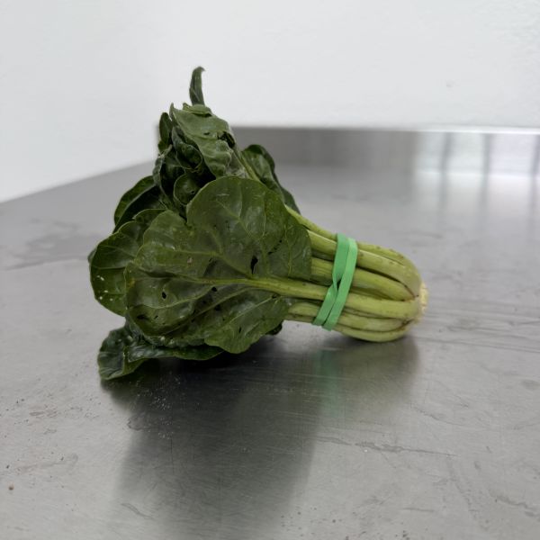 Rosetten-Pak-Choi / Tatsoi