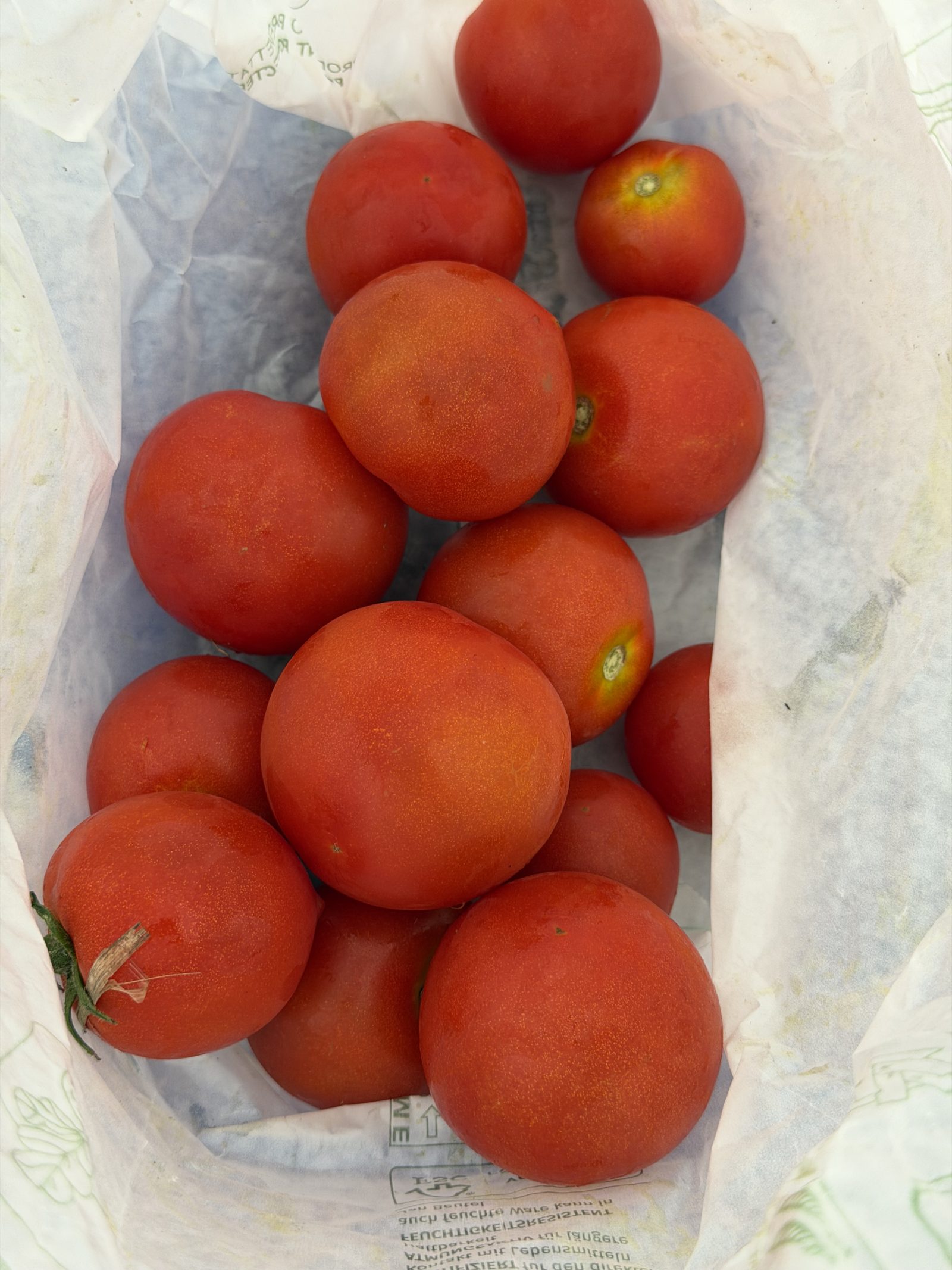Tomaten mix (verschiedene Sorten)