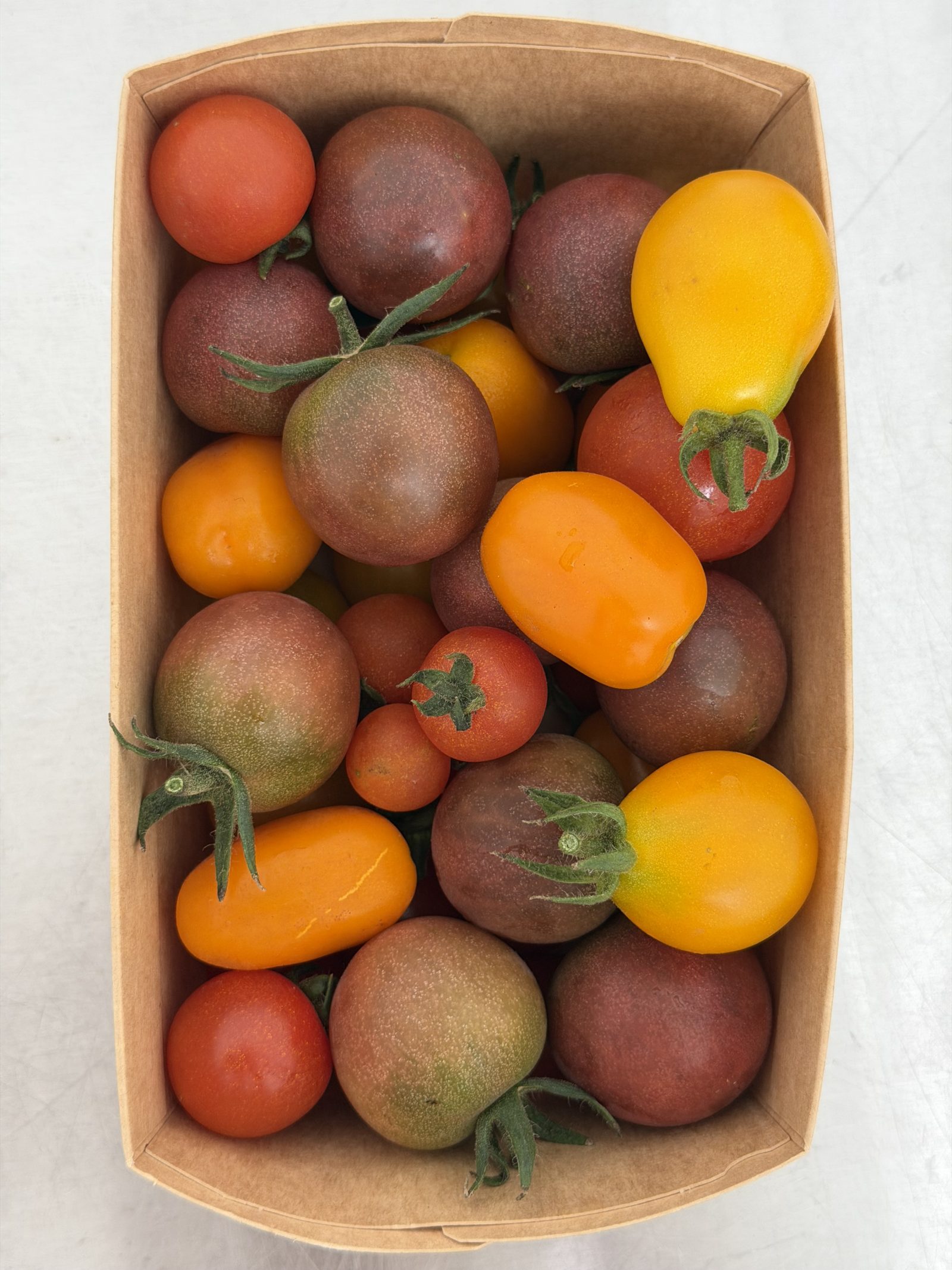 Cocktailtomaten (250-g-Schale)