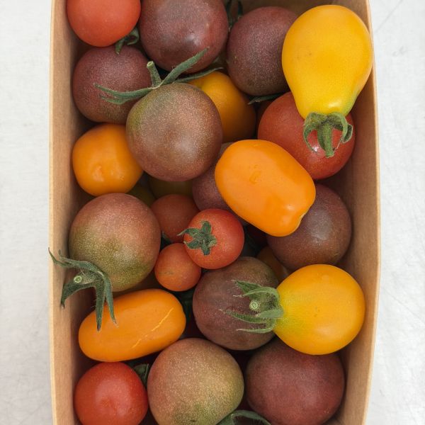 Cocktailtomaten (500-g-Schale)