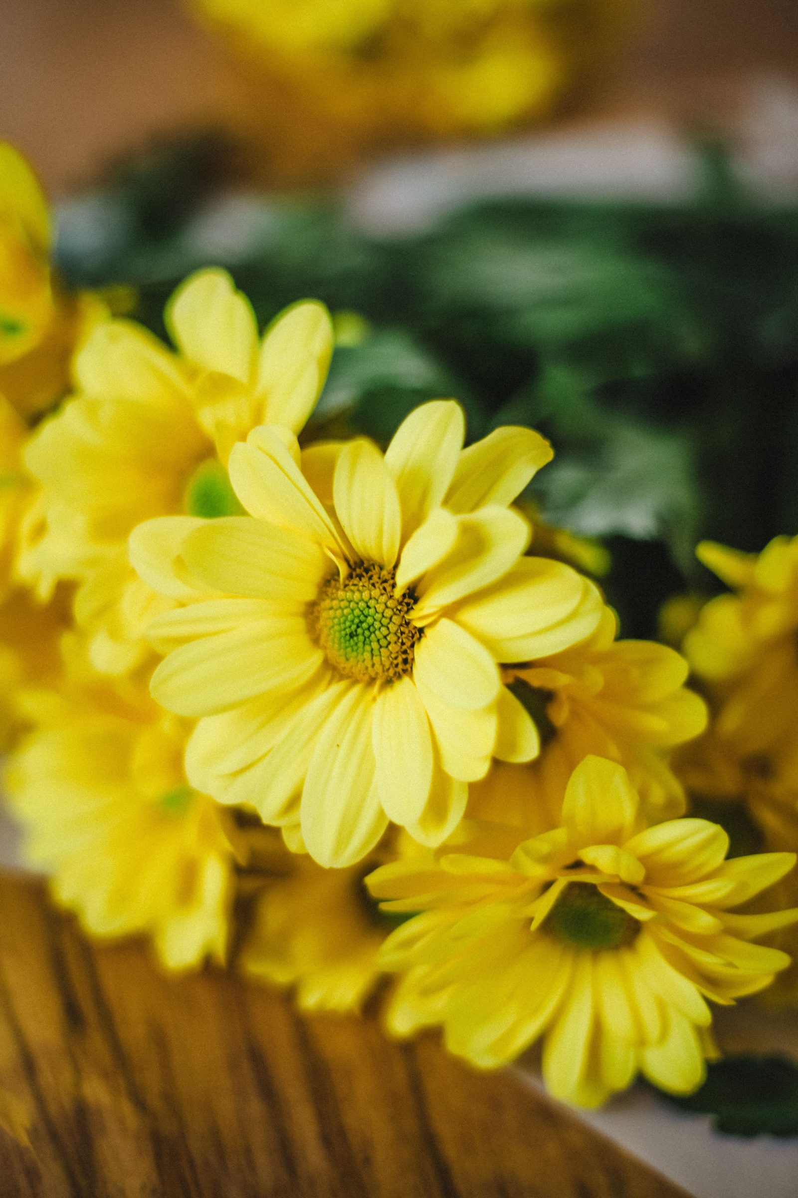 Chrysanthemenstrauß