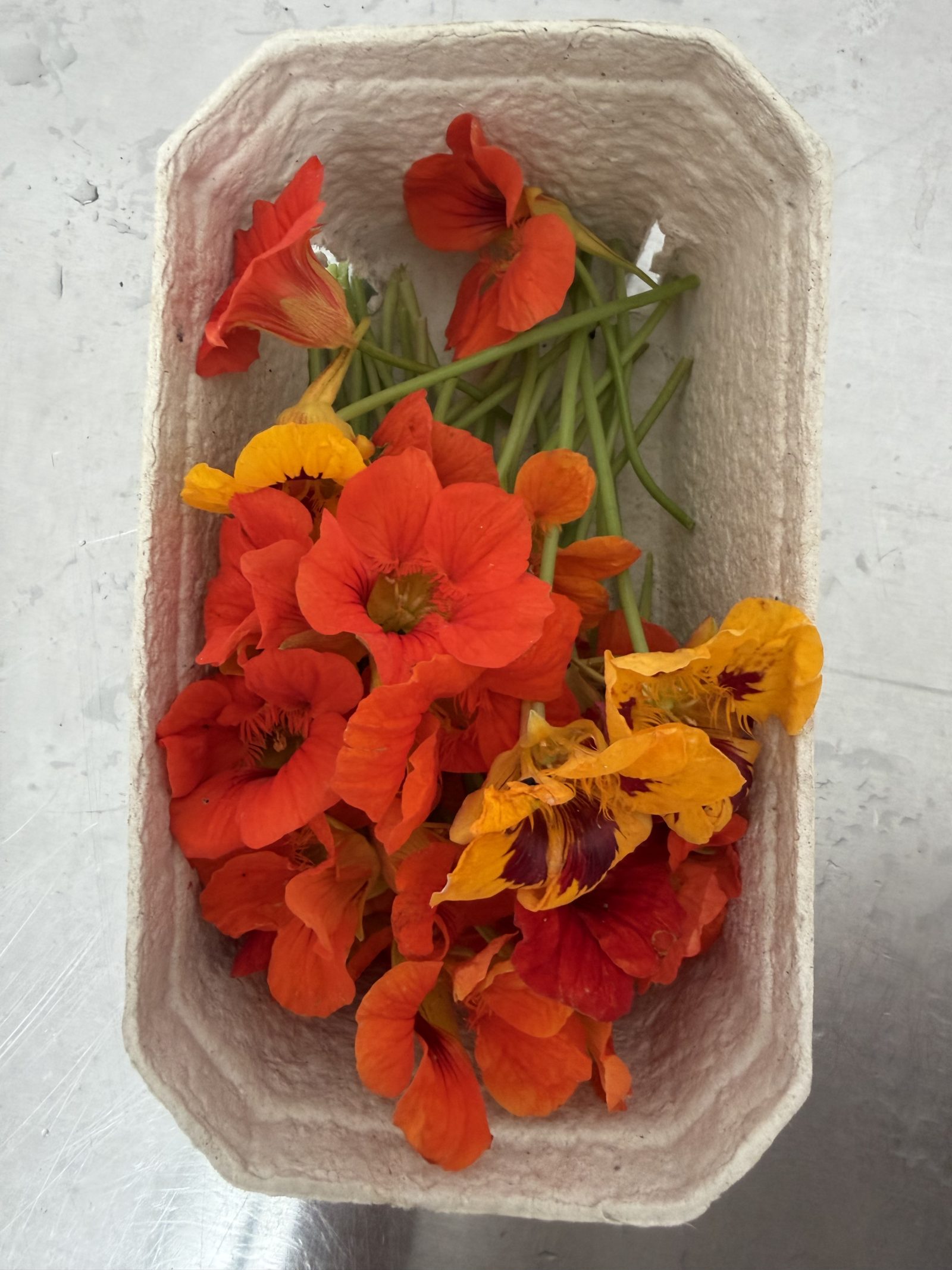 Kapuzinerkresseblüten