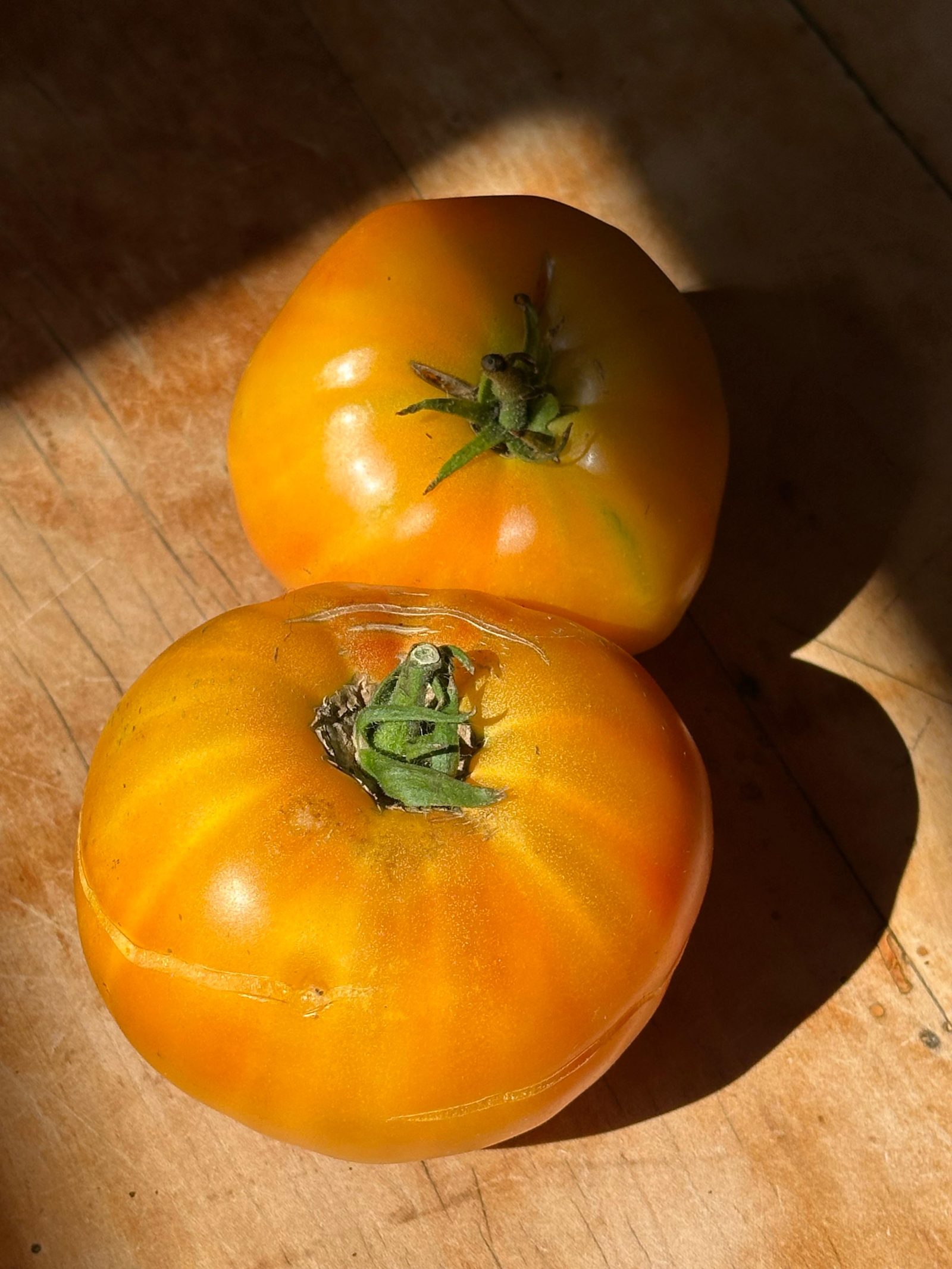 Fleischtomaten