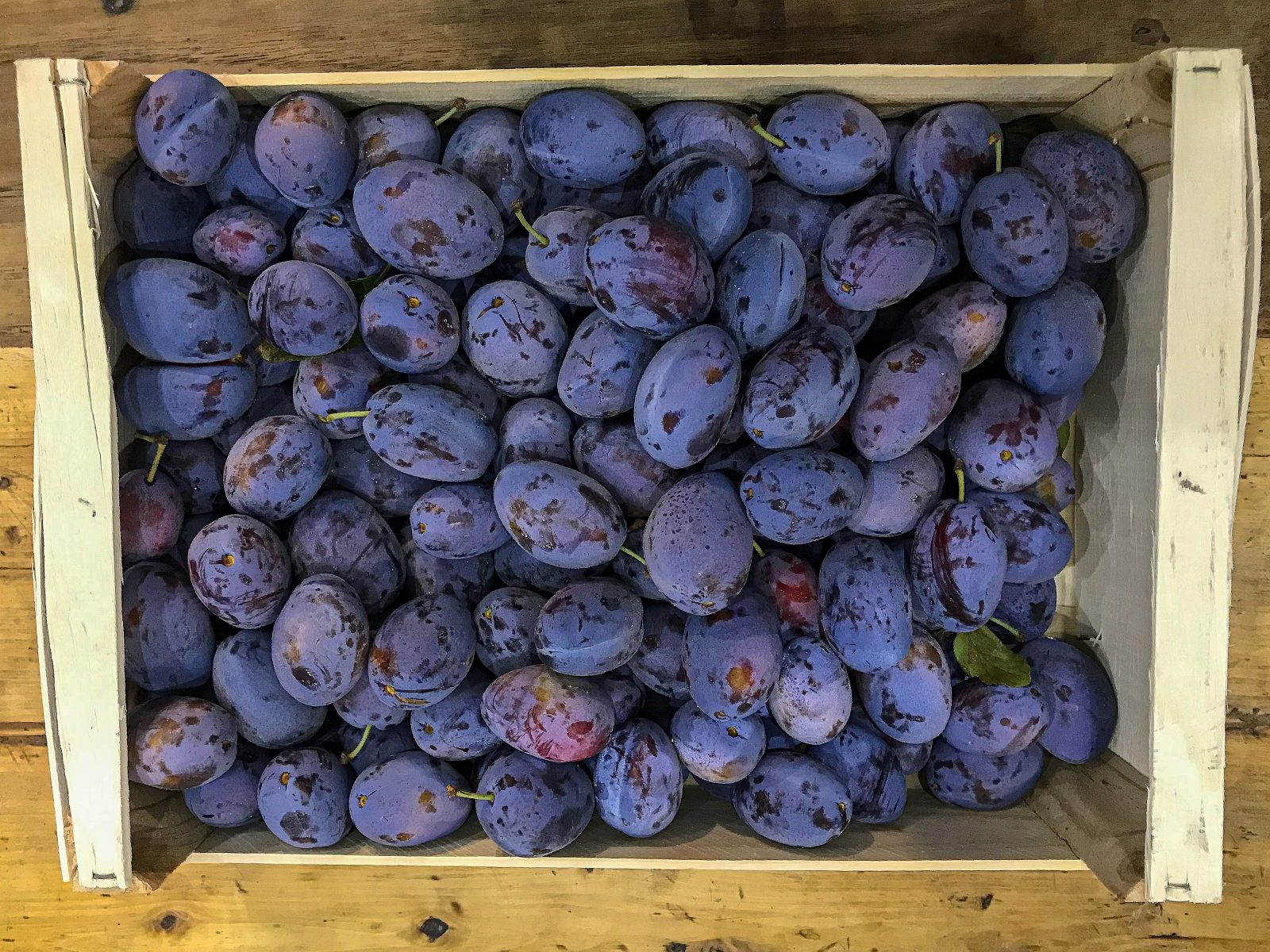 Zwetschgen (250g-Schale)