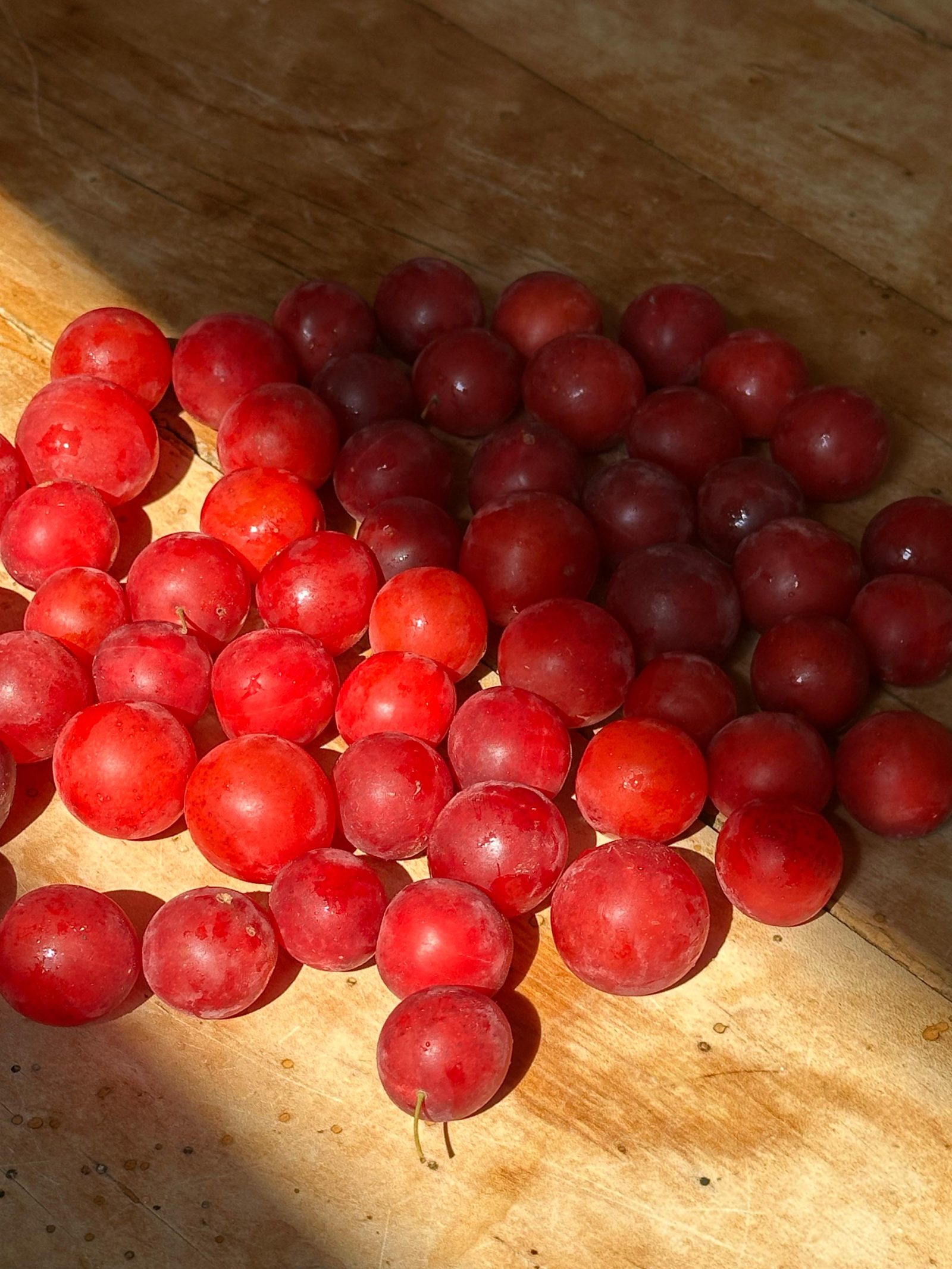 Mirabellen, rot (500g-Schale)