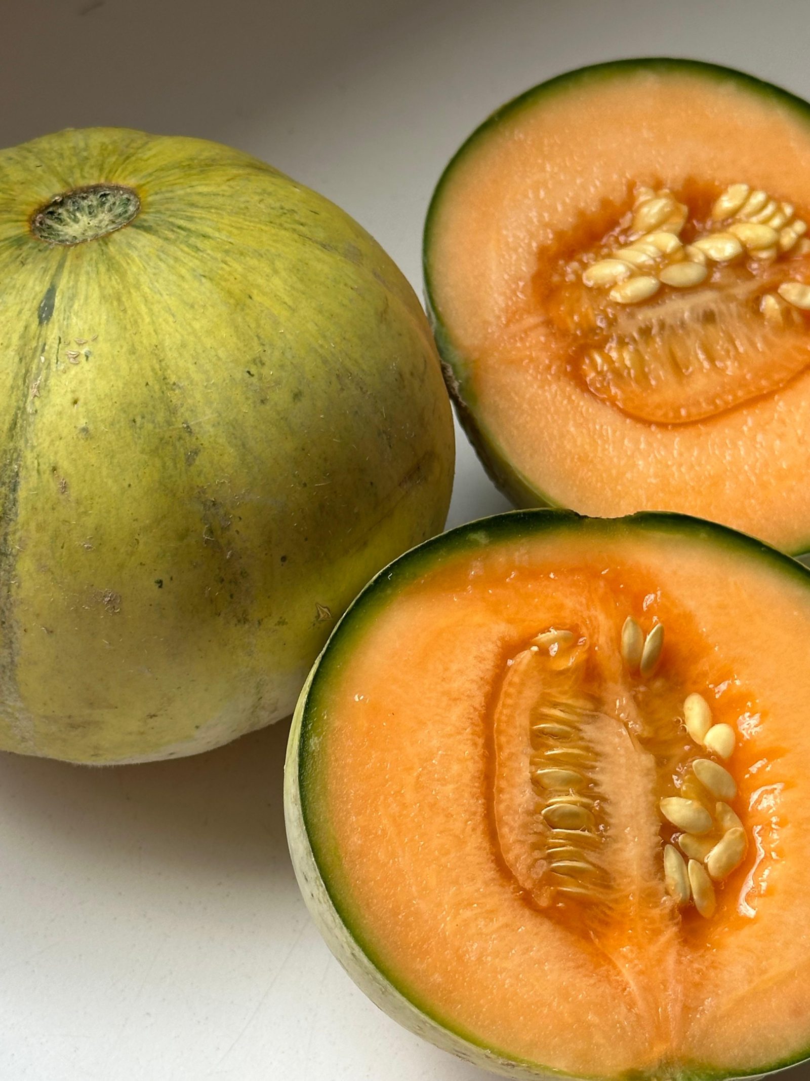 Honigmelone