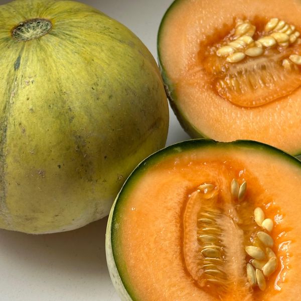 Honigmelone