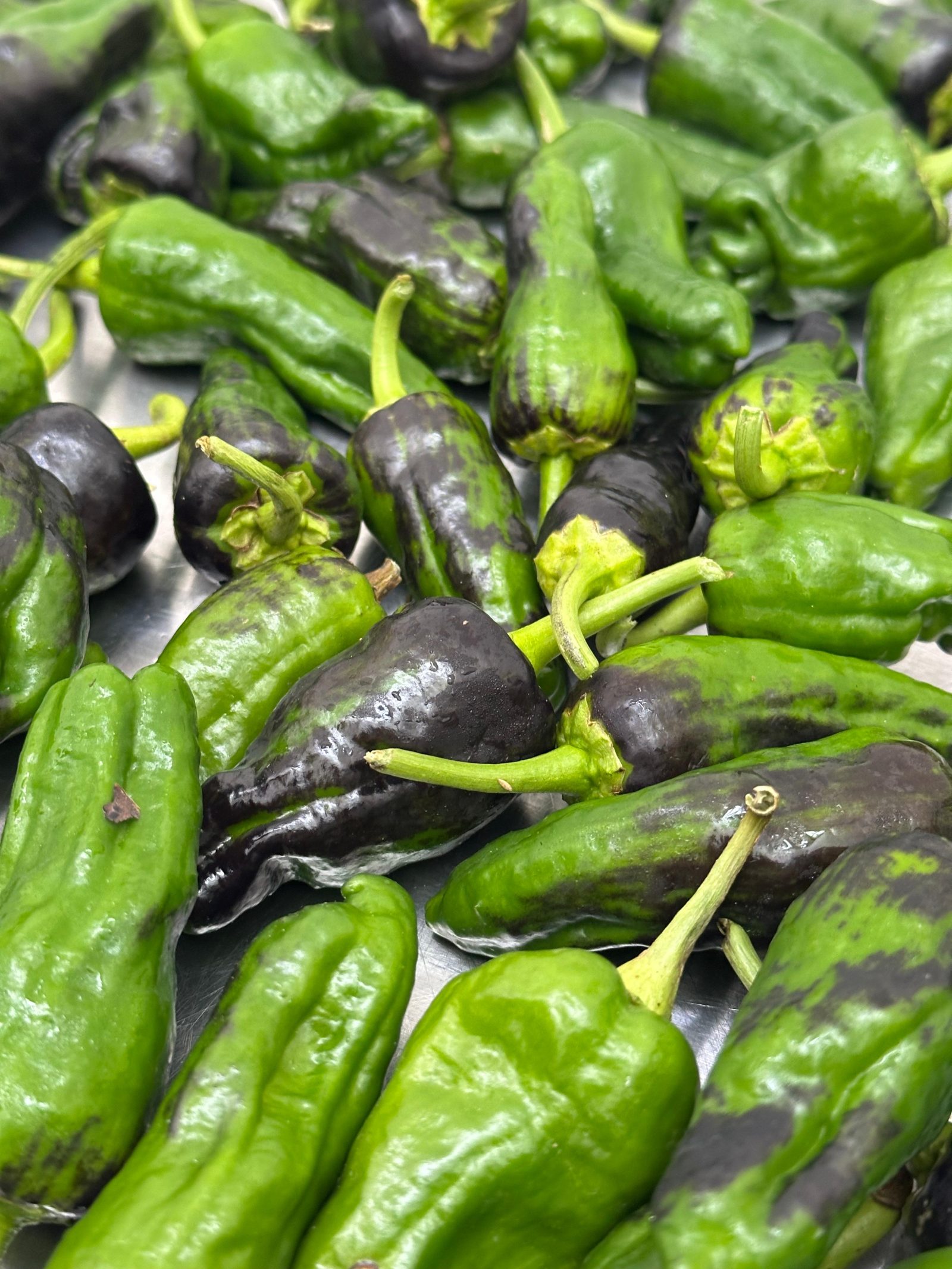 Pimientos de Padron