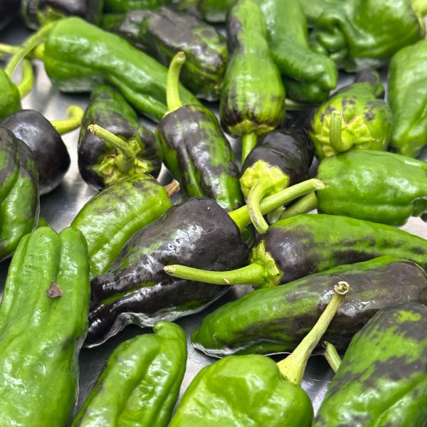 Pimientos de Padron