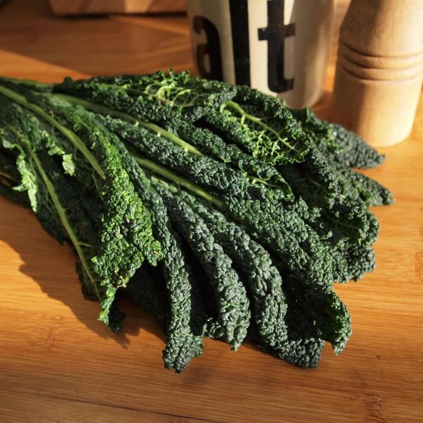 Schwarzkohl (Cavolo Nero)