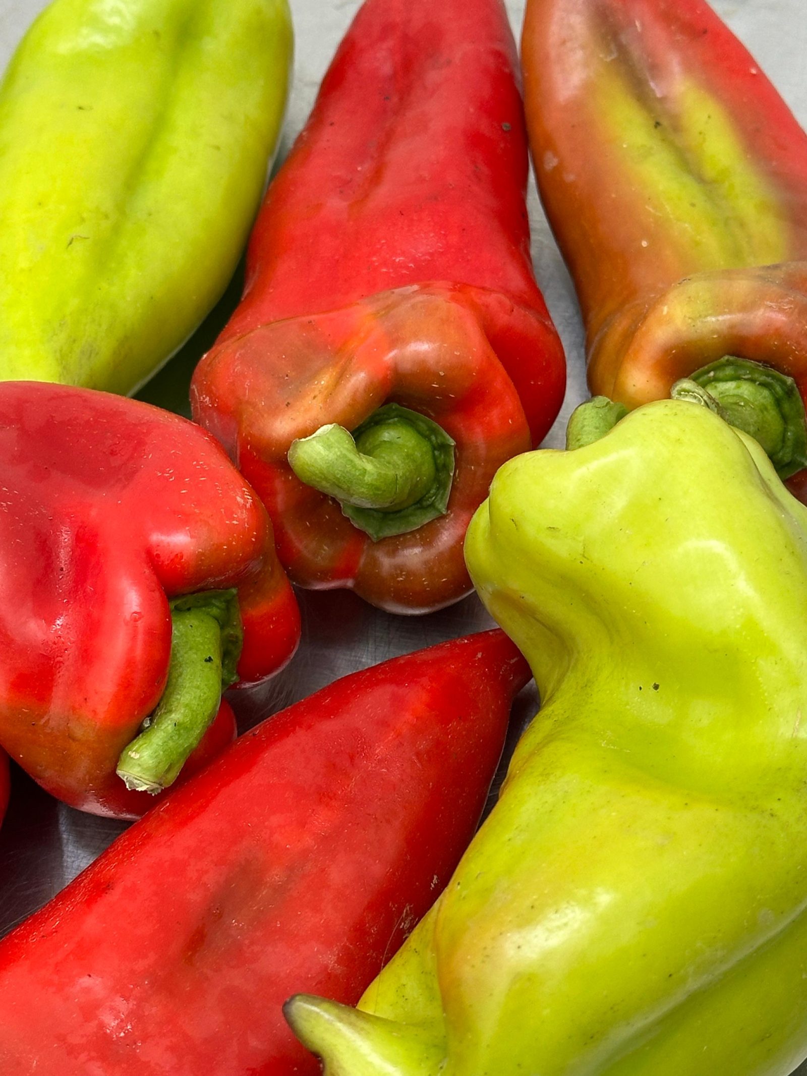 Spitzpaprika, rot und grün