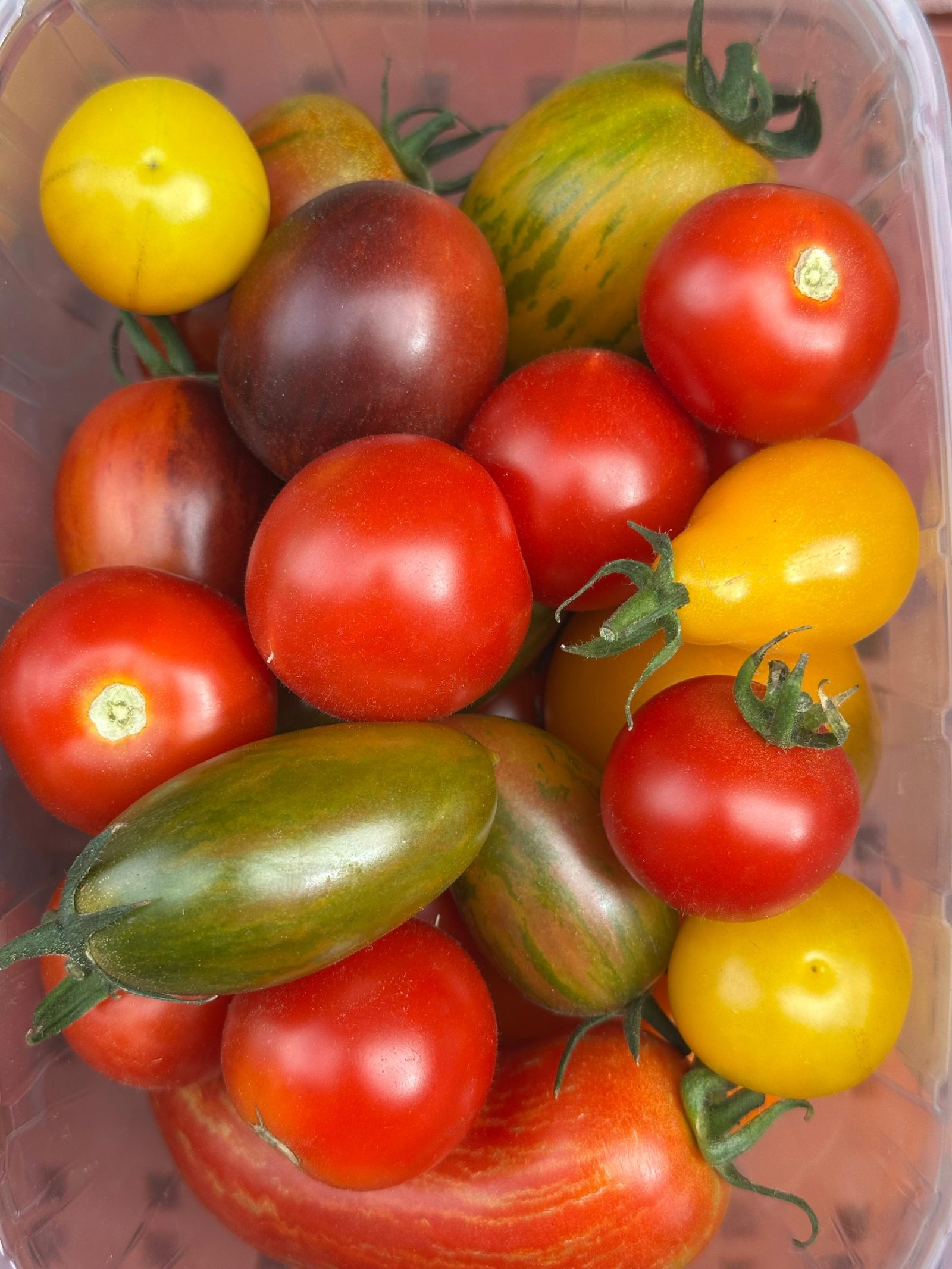 Tomaten mischung