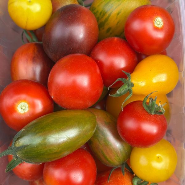 Tomaten mischung