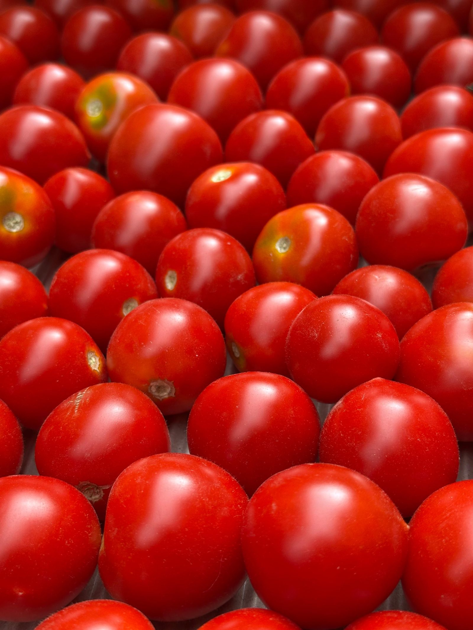 Tomaten Ruthje