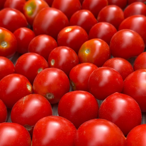 Tomaten Ruthje
