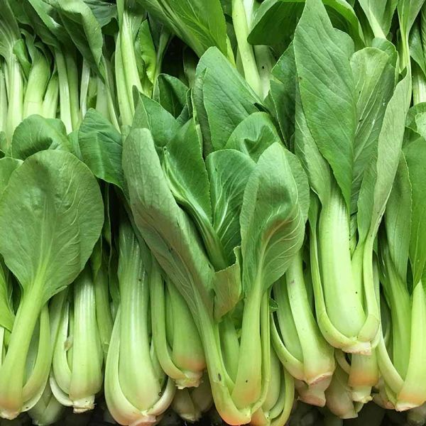 Pak Choi