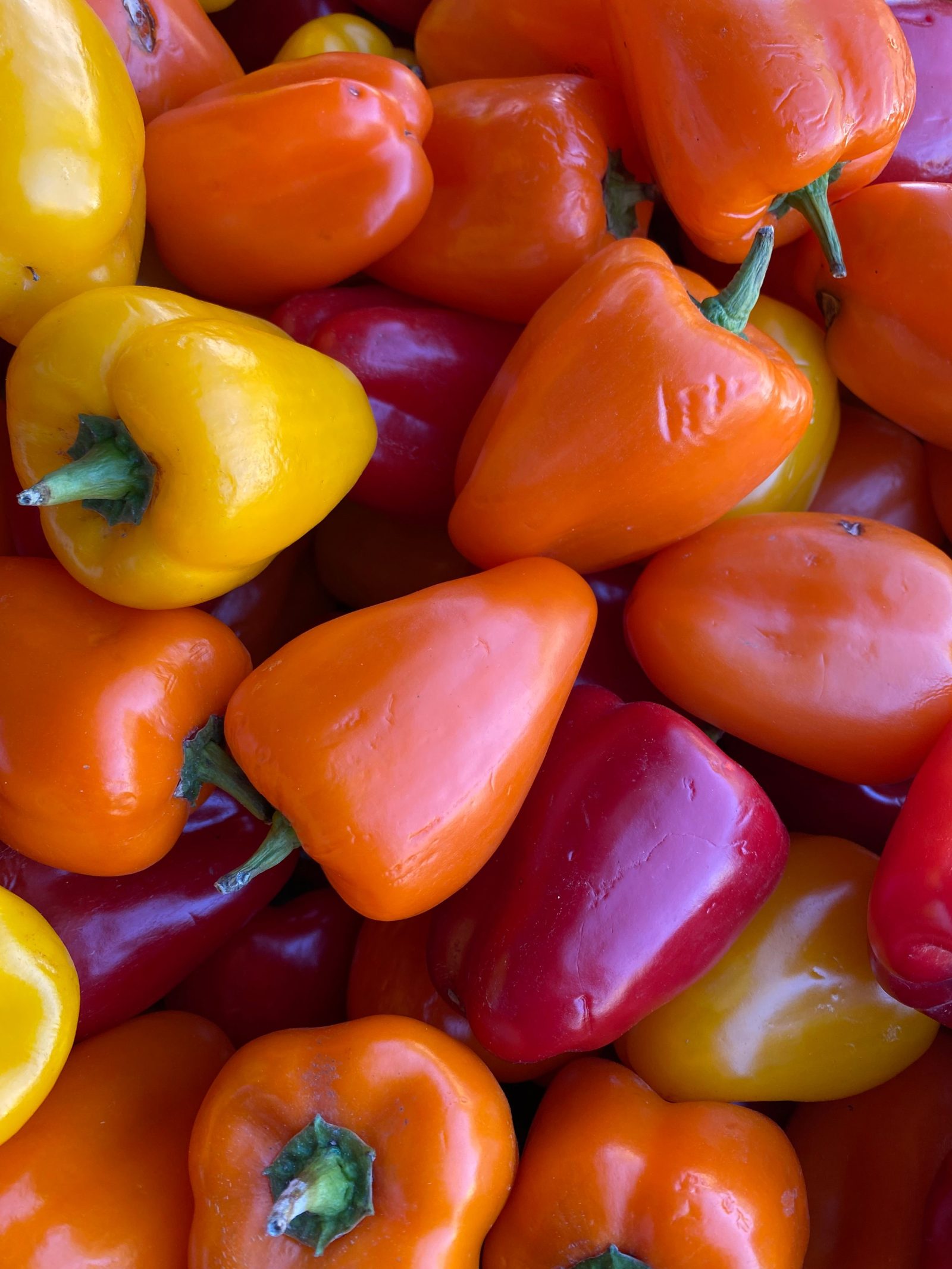 Snack Paprika