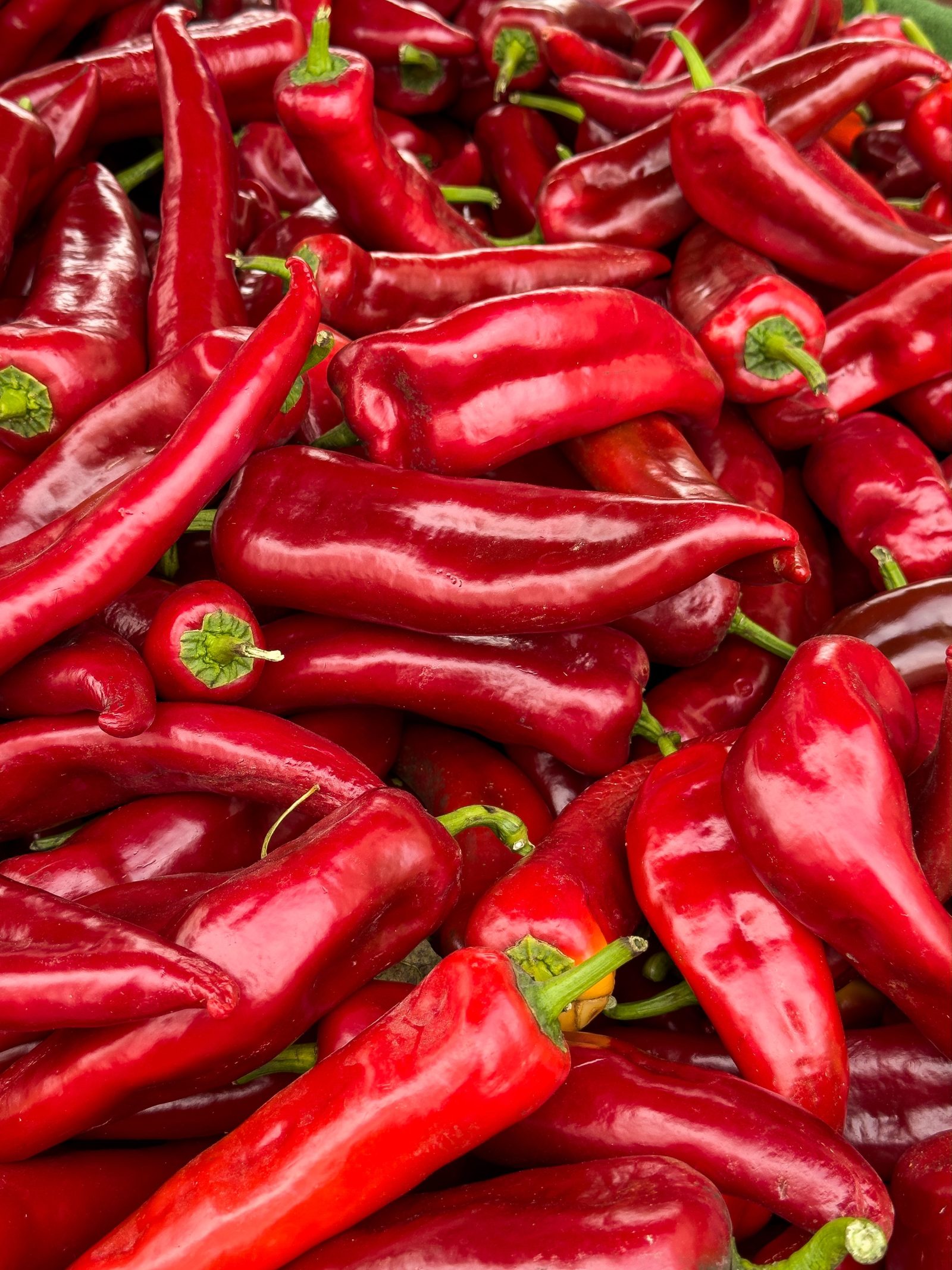 Spitzpaprika Rot