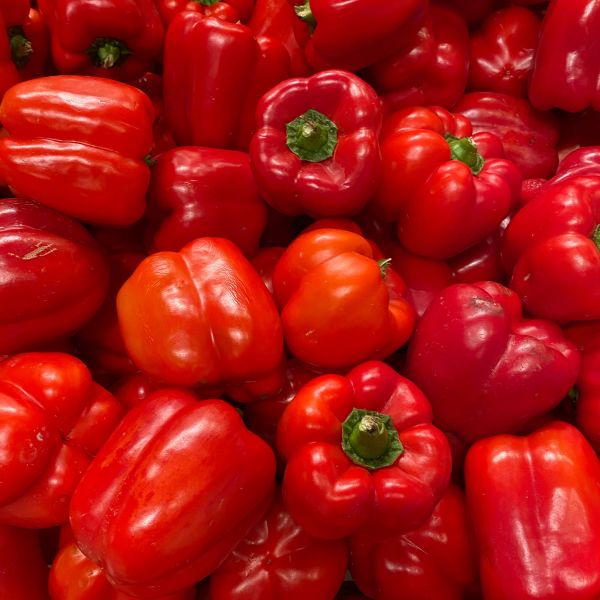 Paprika Rot