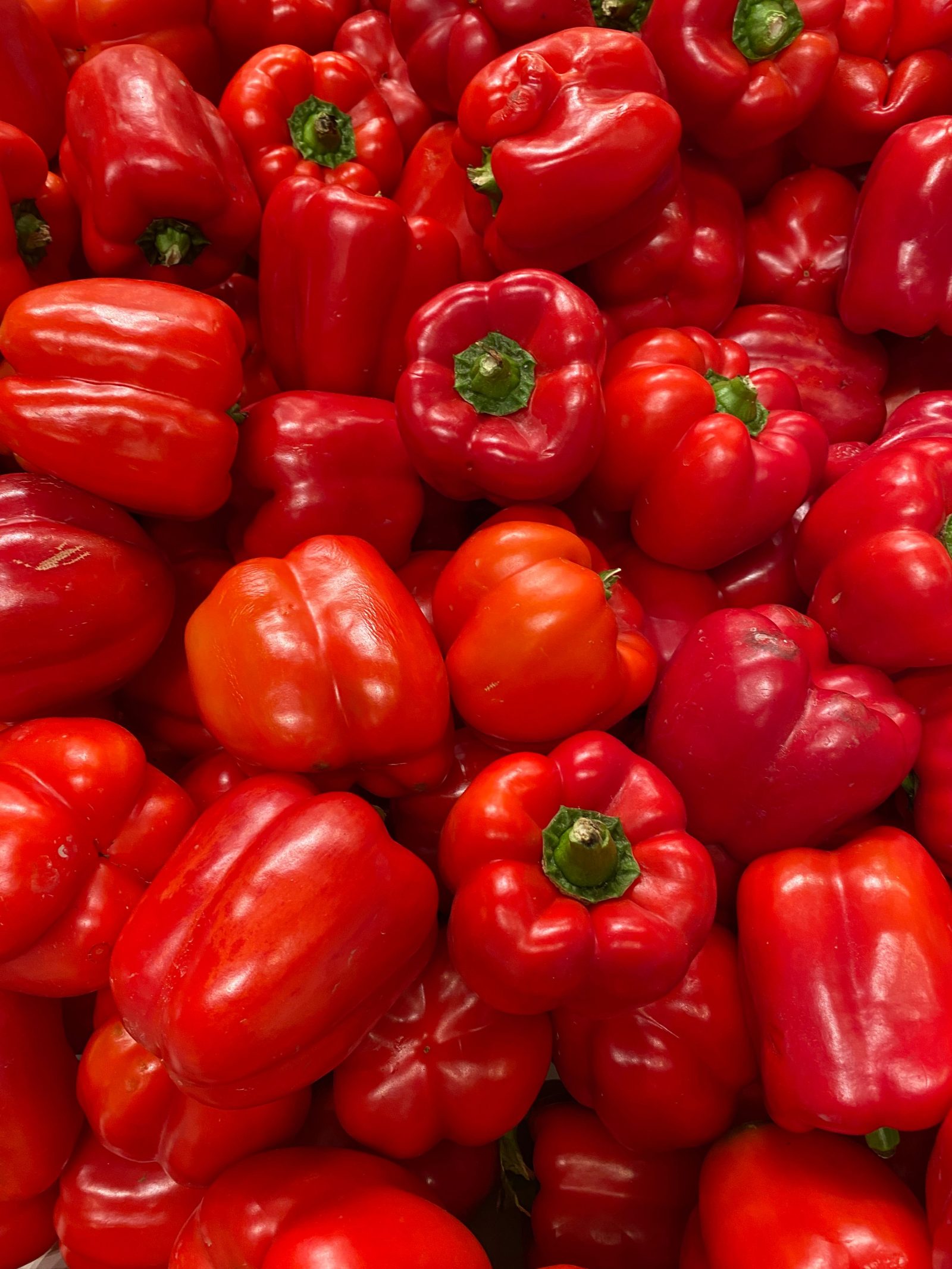 Paprika Rot