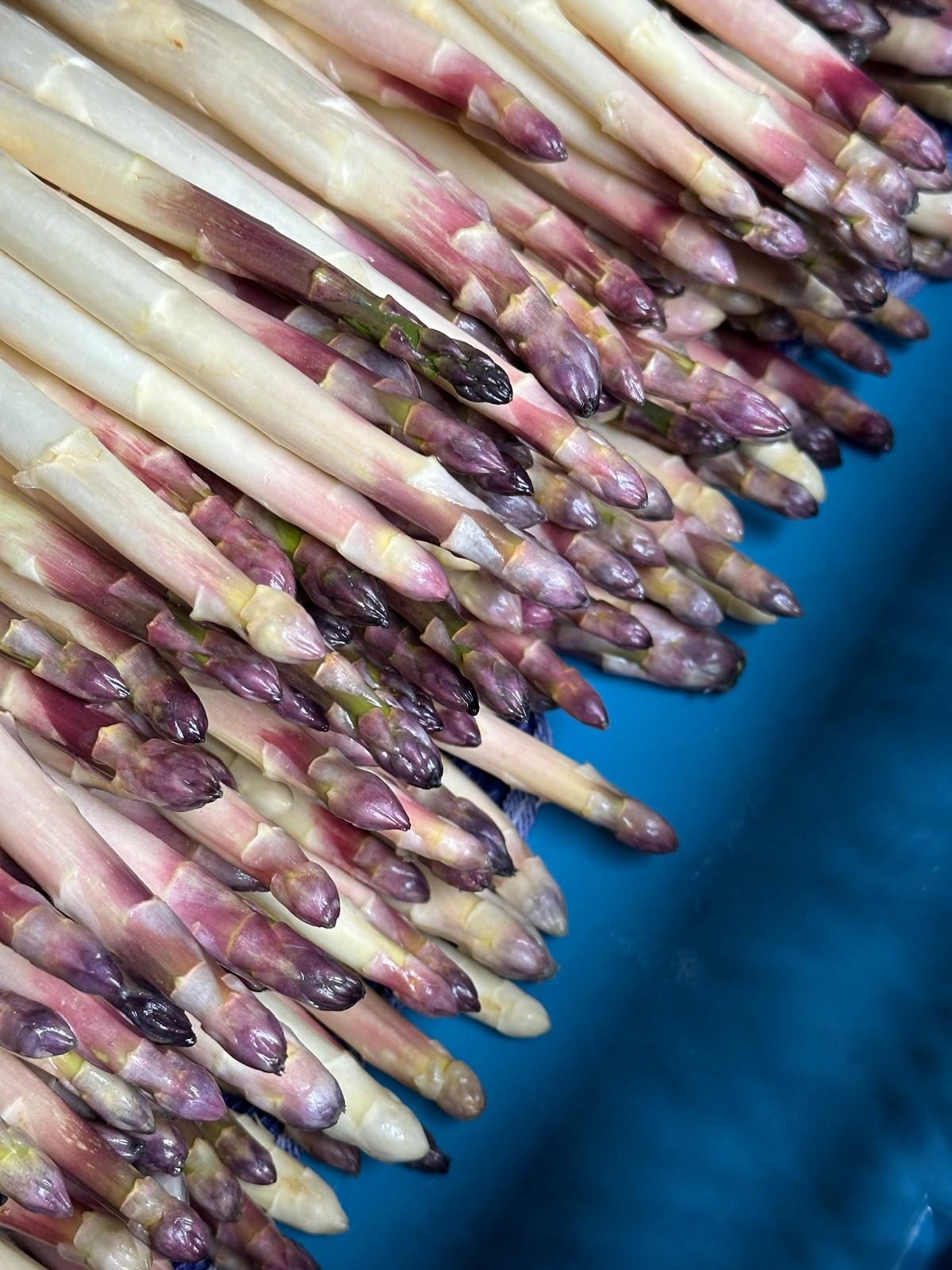 Bio-Spargel weiß