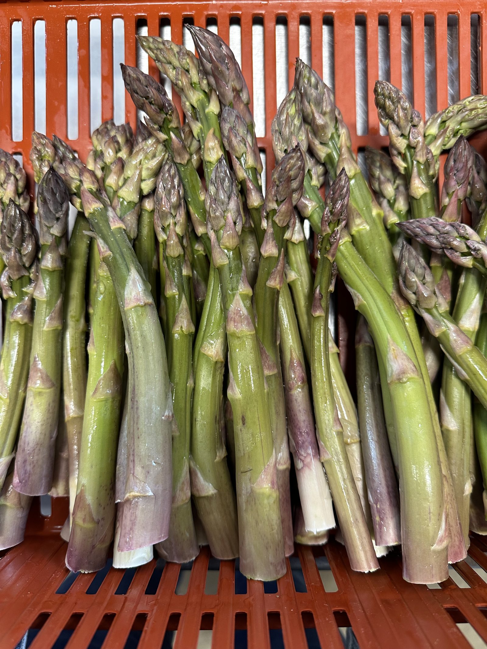 Bio-Spargel grün — 1