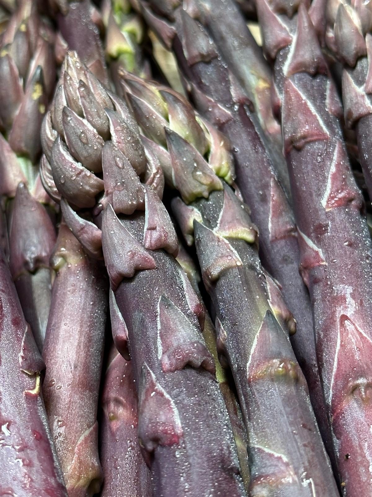Bio-Spargel lila