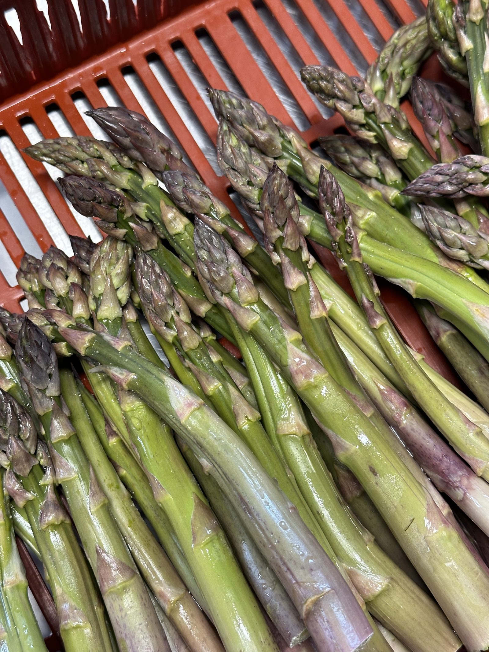 Bio-Spargel grün