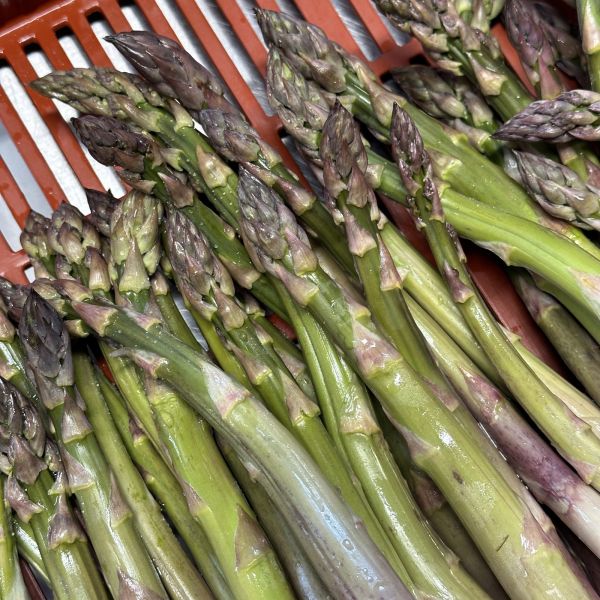 Bio-Spargel grün