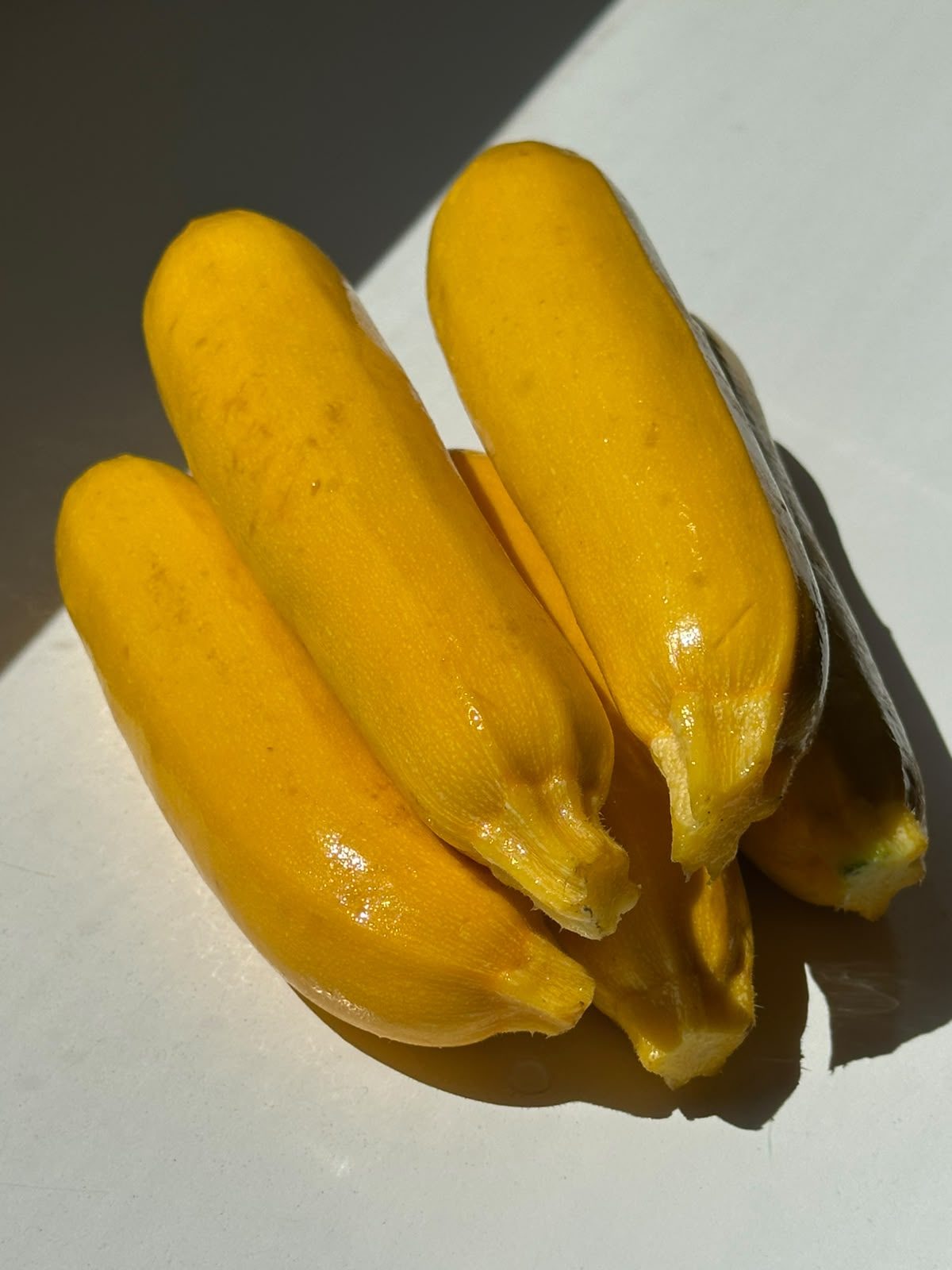 Gelbe Zucchini