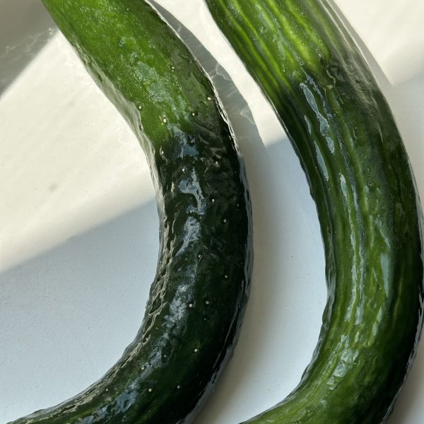 Gurke