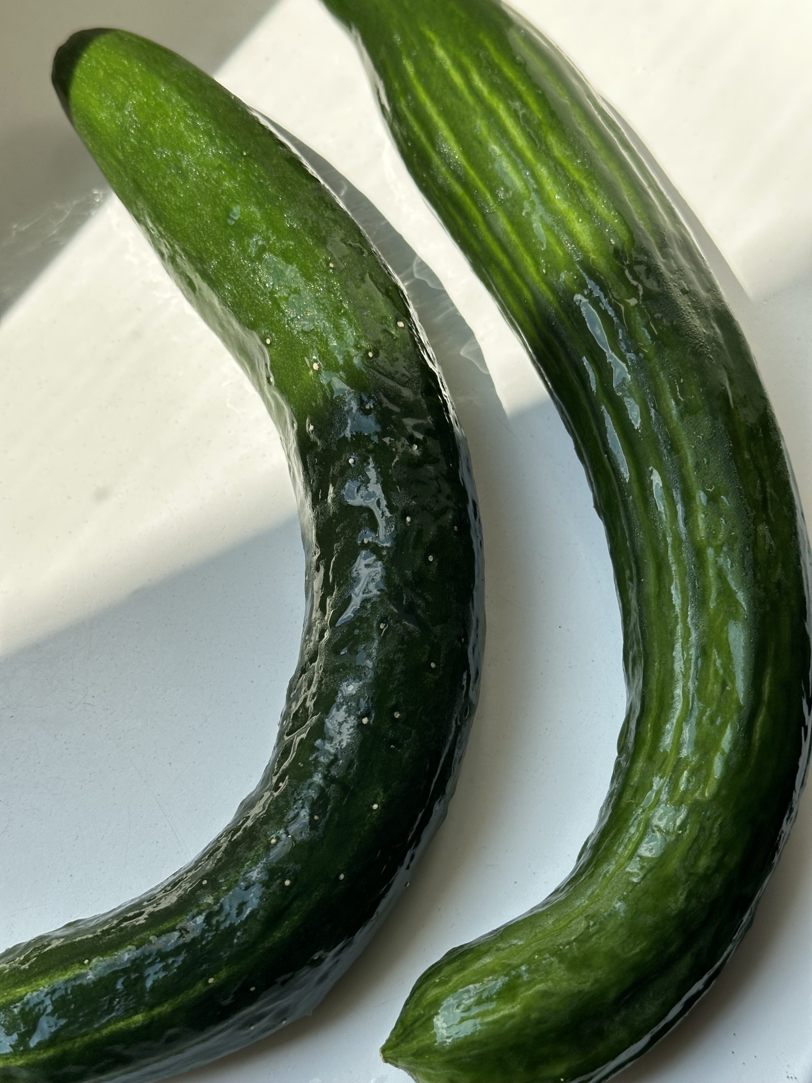 Gurke